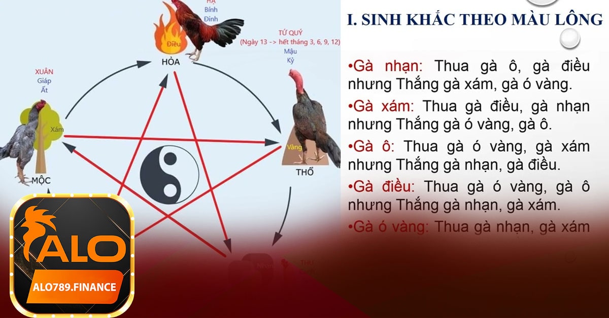 Các Màu Mạng Gà Đá Phổ Biến